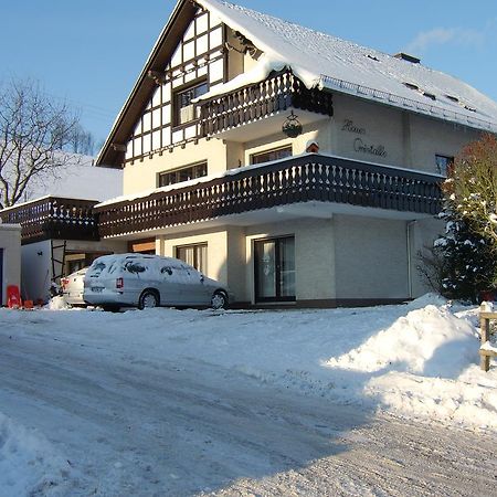 Haus Cristallo Olsberg Ngoại thất bức ảnh