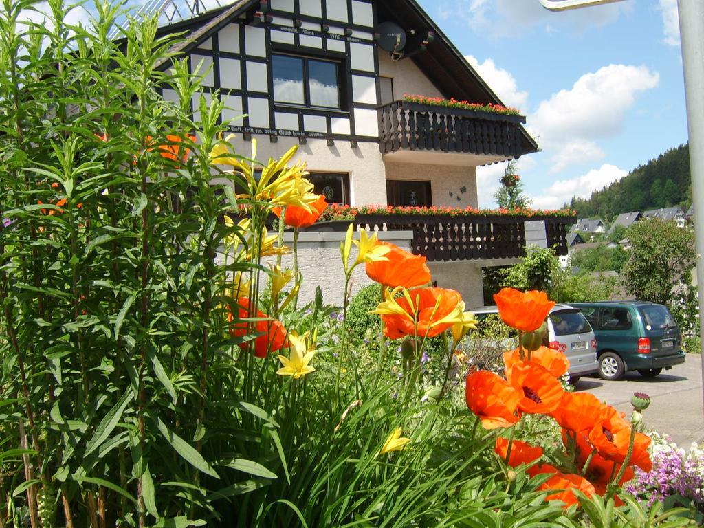 Haus Cristallo Olsberg Ngoại thất bức ảnh